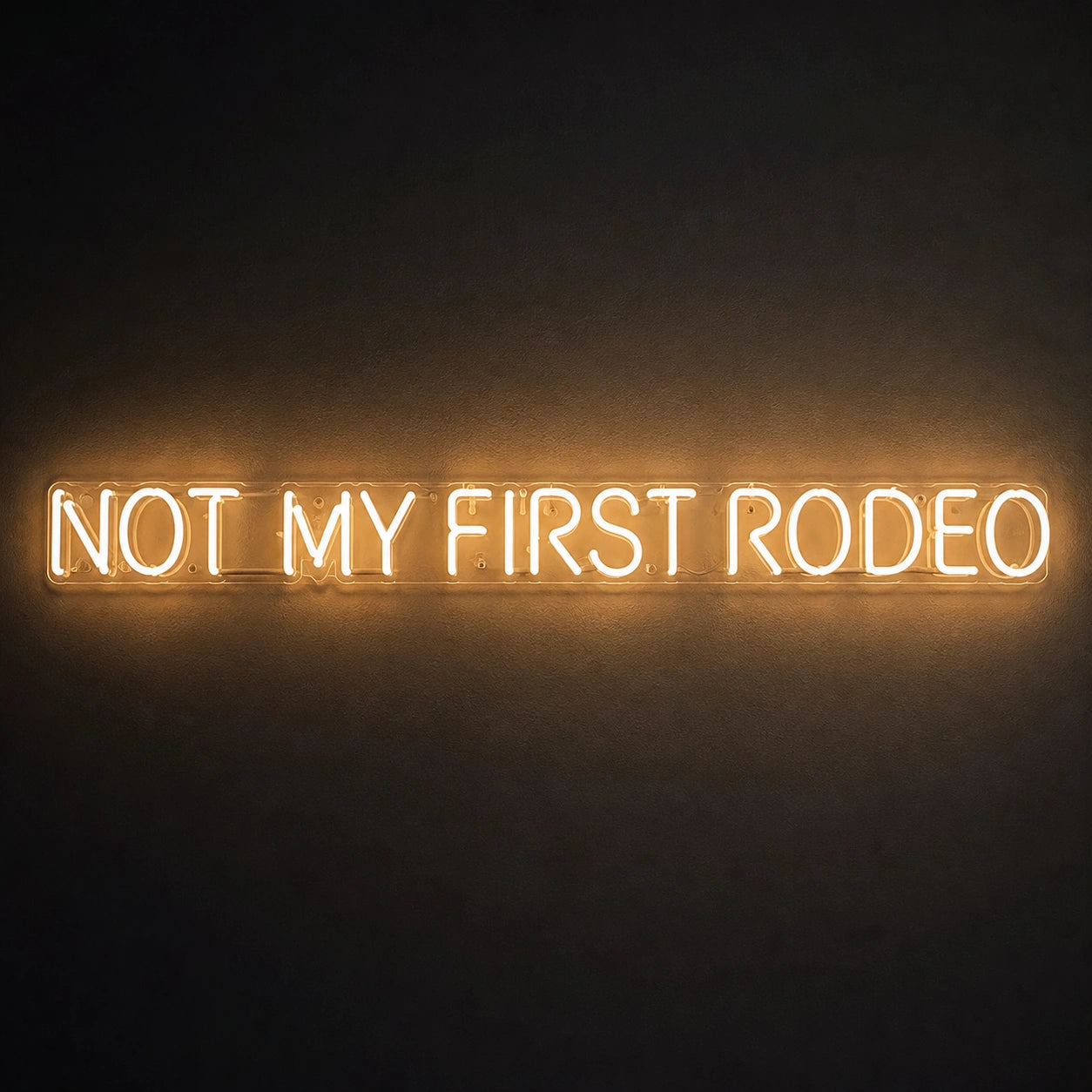 Not My First Rodeo LED Neon Sign Man Cave Neon Sign main product image