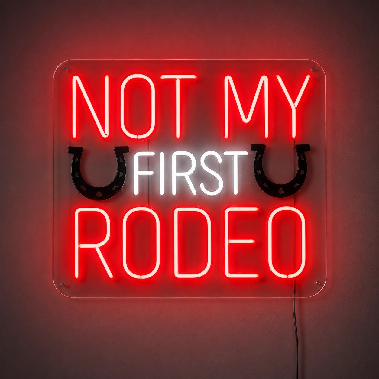 Not My First Rodeo Neon Sign LED Neon Sign main product image