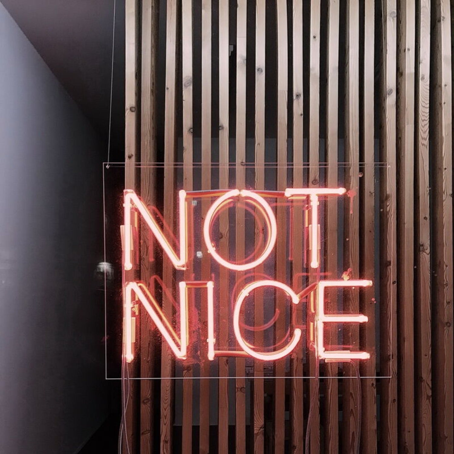 Not Nice Led Neon Sign For Bold Statements | Shineneon