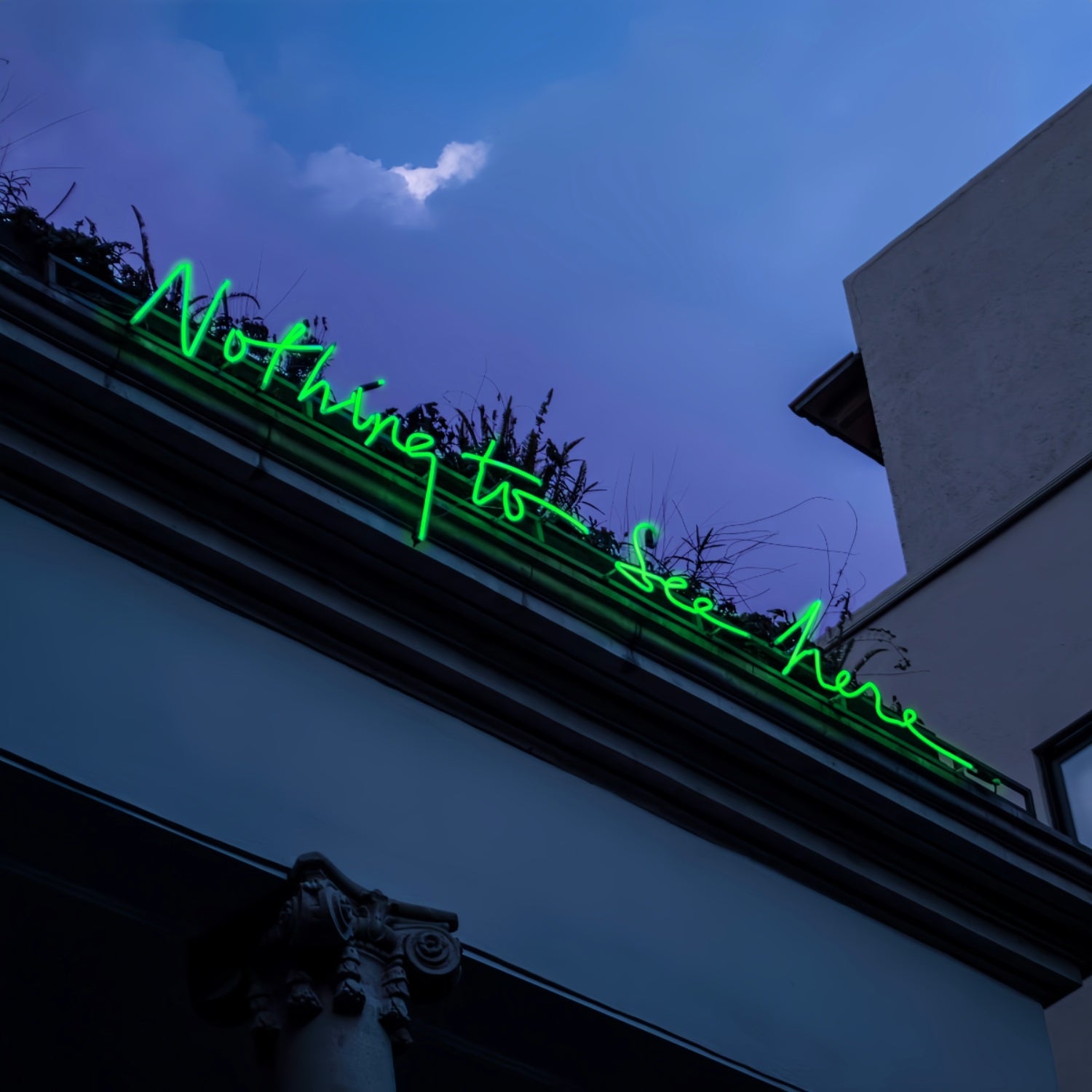 Nothing To See Here Led Sign | Shineneon