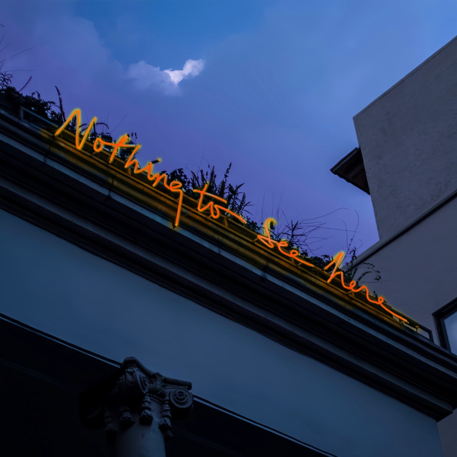 Nothing To See Here Led Sign | Shineneon
