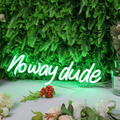 Noway Dude Green Led Neon Sign - Shineneon