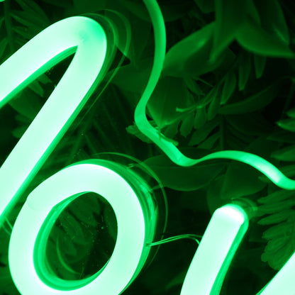 Noway Dude Green Led Neon Sign - Shineneon