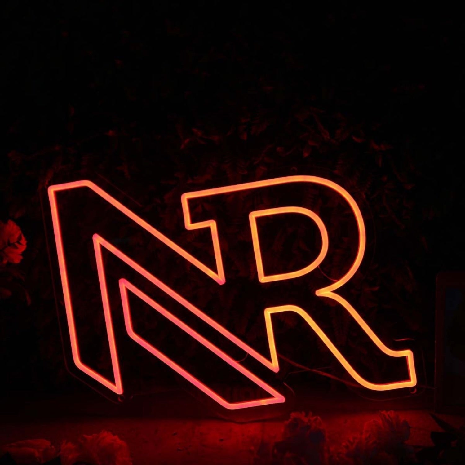 Nr Custom Led Neon Sign - Shineneon