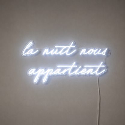 Nuis Nous Appartient Wall Decor LED Neon Sign main product image