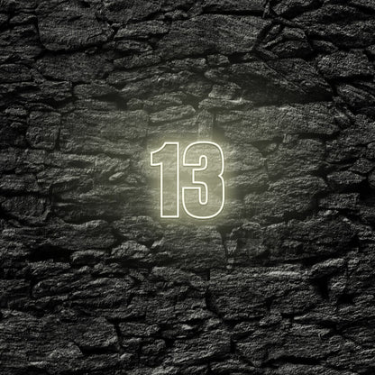 Number Thirteen Led Neon Sign | Shineneon