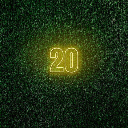 Number Twenty Led Sign | Shineneon