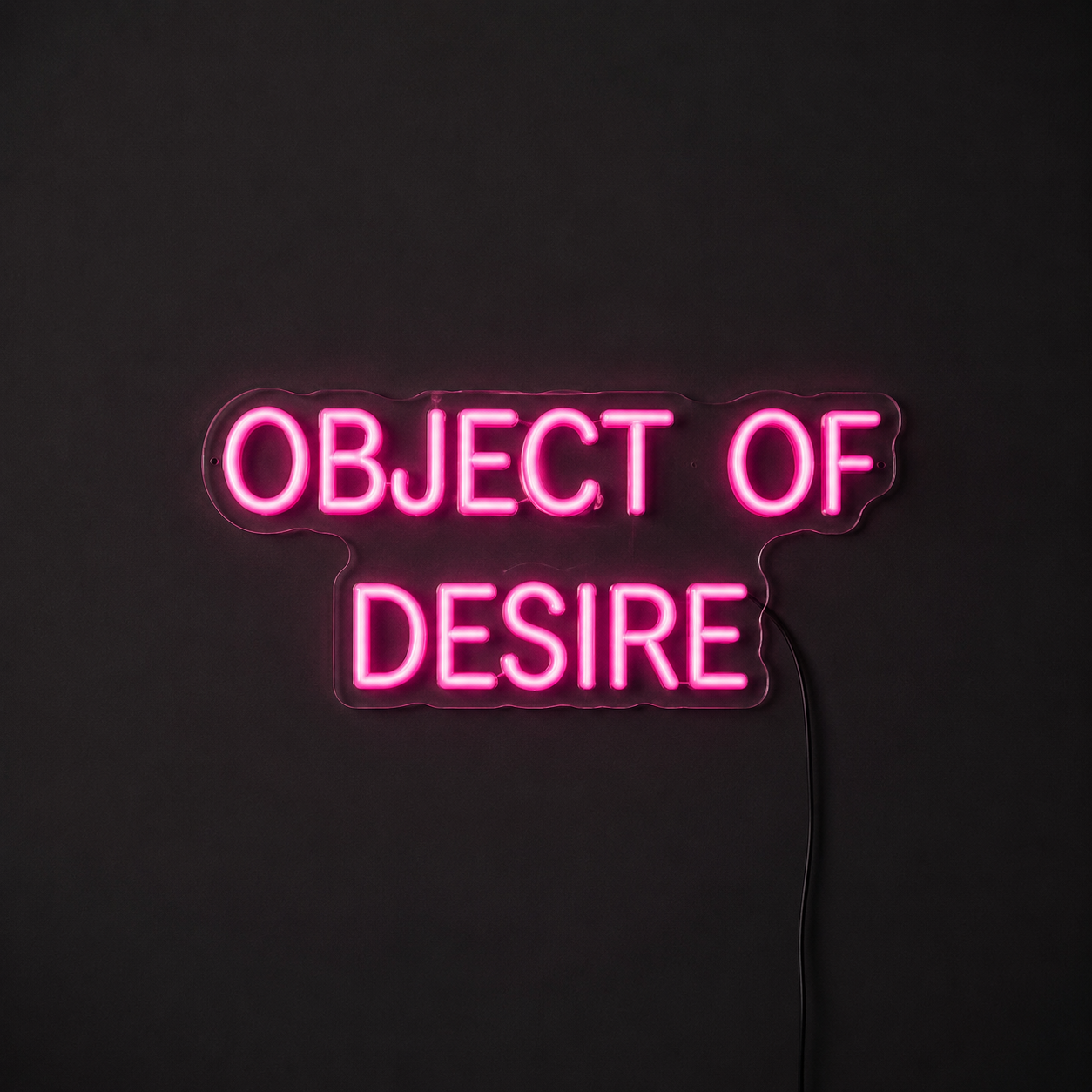 Object Of Desire LED Neon Sign - 01 Original Product Image