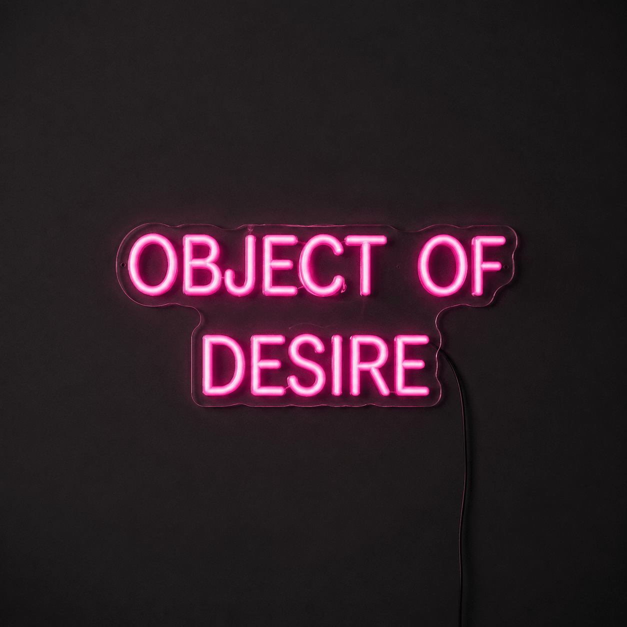 Object Of Desire LED Neon Sign - Shineneon