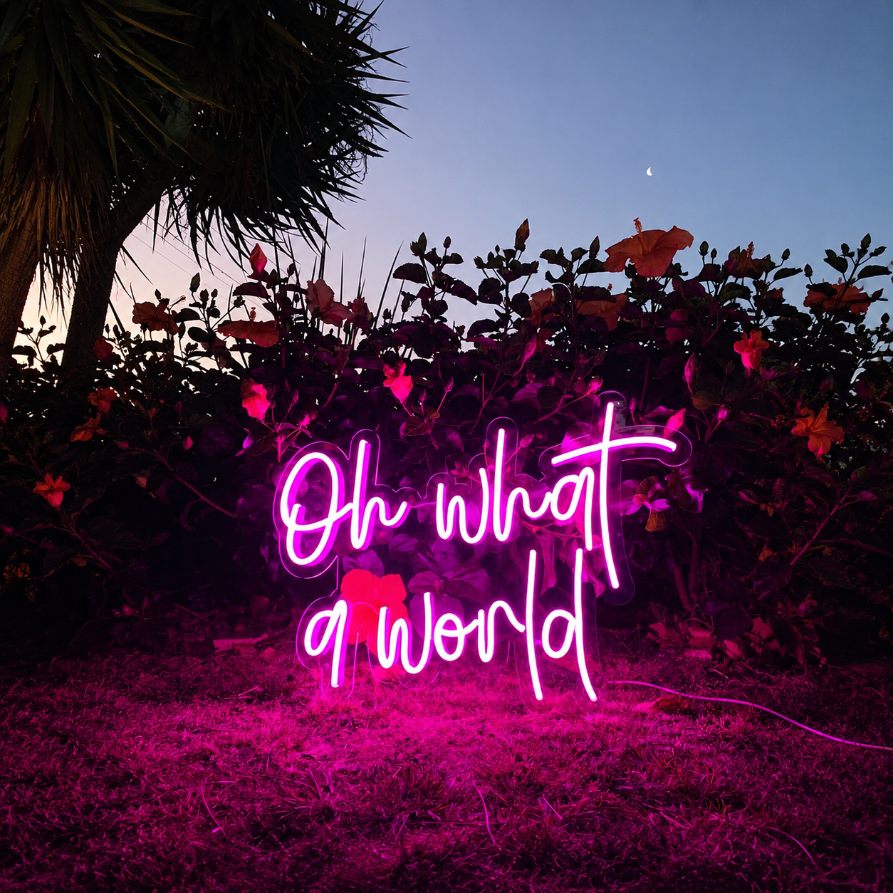 Oh What A World LED Neon Sign - 01 Original Product Image