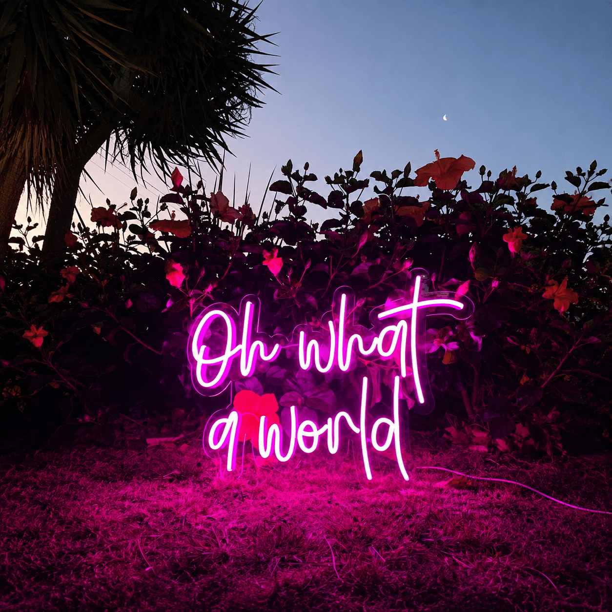 Oh What A World LED Neon Sign - Shineneon