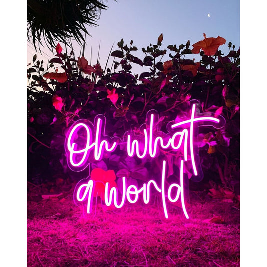 Oh What A World Led Sign Business Neon Sign