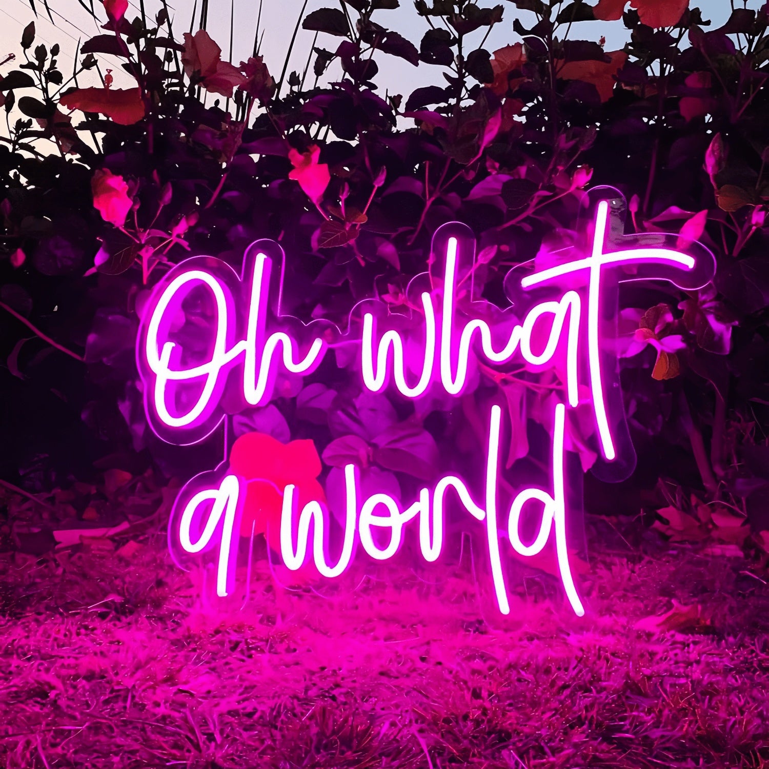 Oh What A World Let Your Space Shine With Wonder | Shineneon