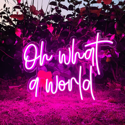 Oh What A World Let Your Space Shine With Wonder | Shineneon