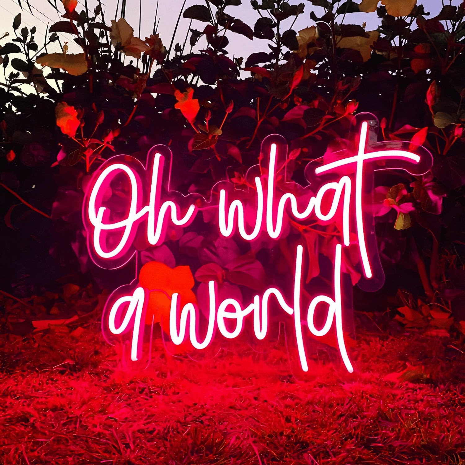 Oh What A World Let Your Space Shine With Wonder | Shineneon