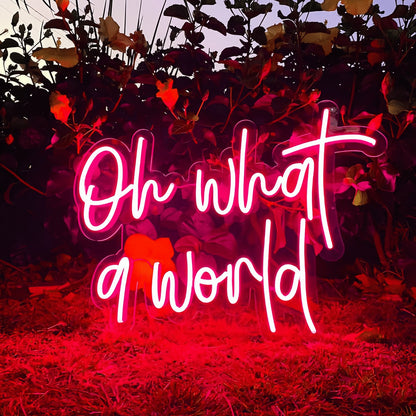 Oh What A World Let Your Space Shine With Wonder | Shineneon