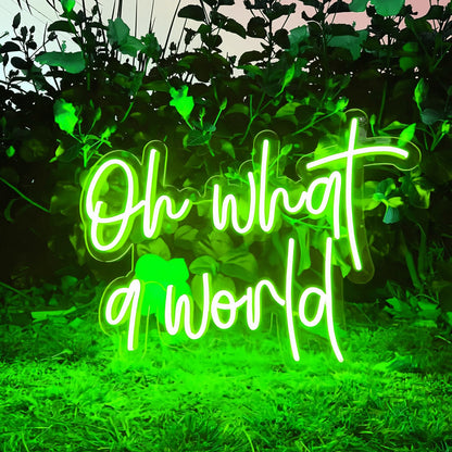Oh What A World Let Your Space Shine With Wonder | Shineneon