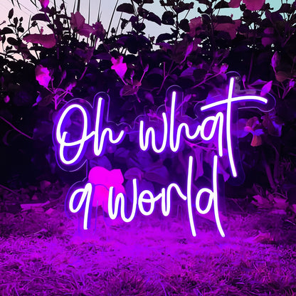 Oh What A World Let Your Space Shine With Wonder | Shineneon