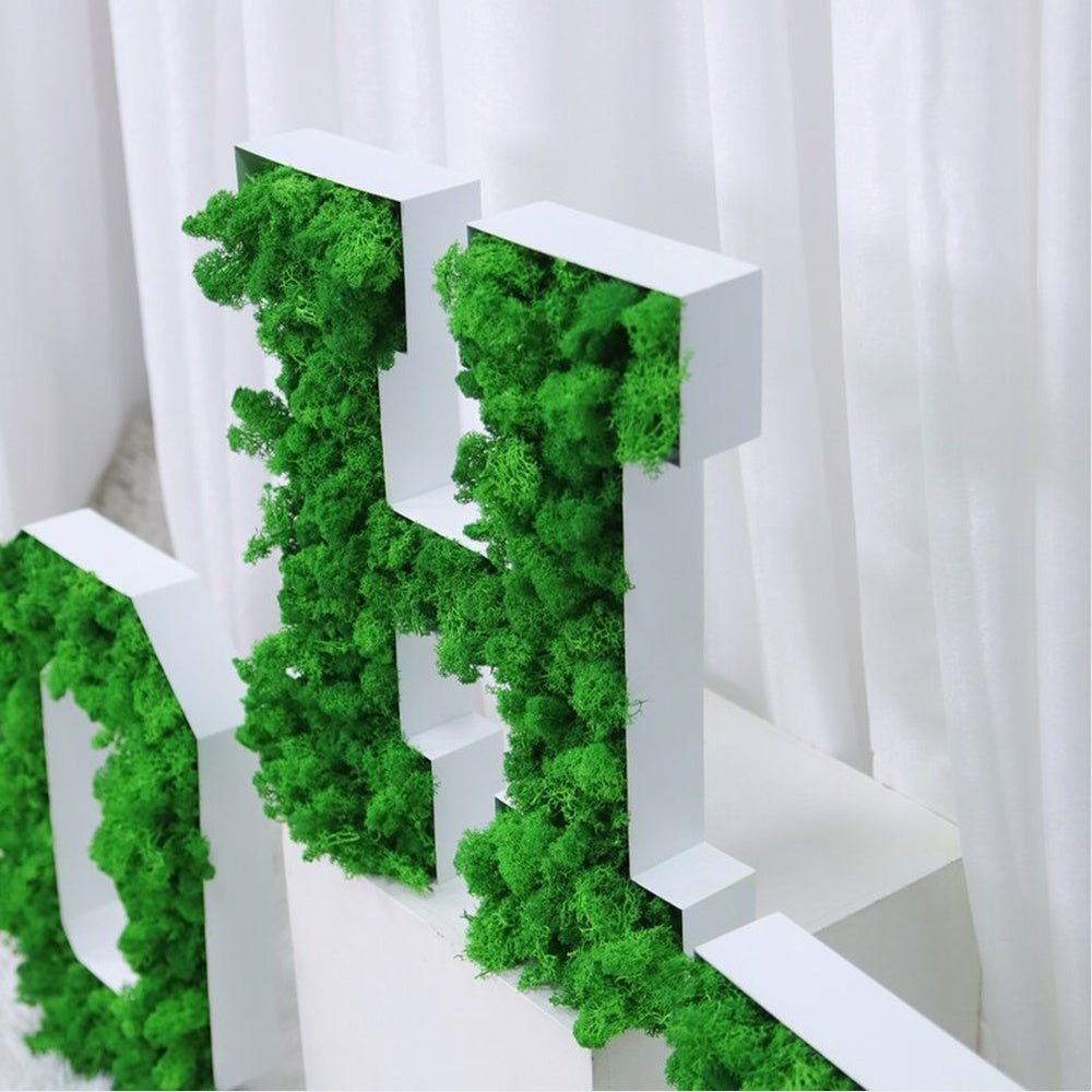 Oht 3D Moss Letter Sign - Shineneon