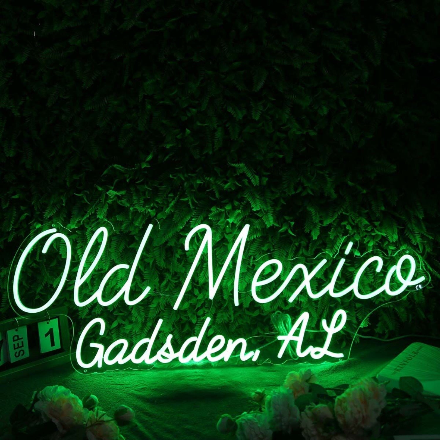 Old Mexico Gadsden Al Green Led Neon Sign - Shineneon