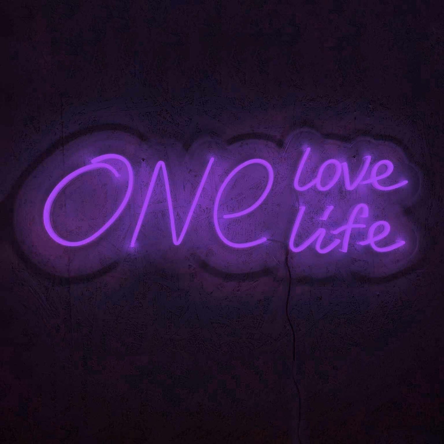 One Love One Life Wedding Neon Sign | Shineneon