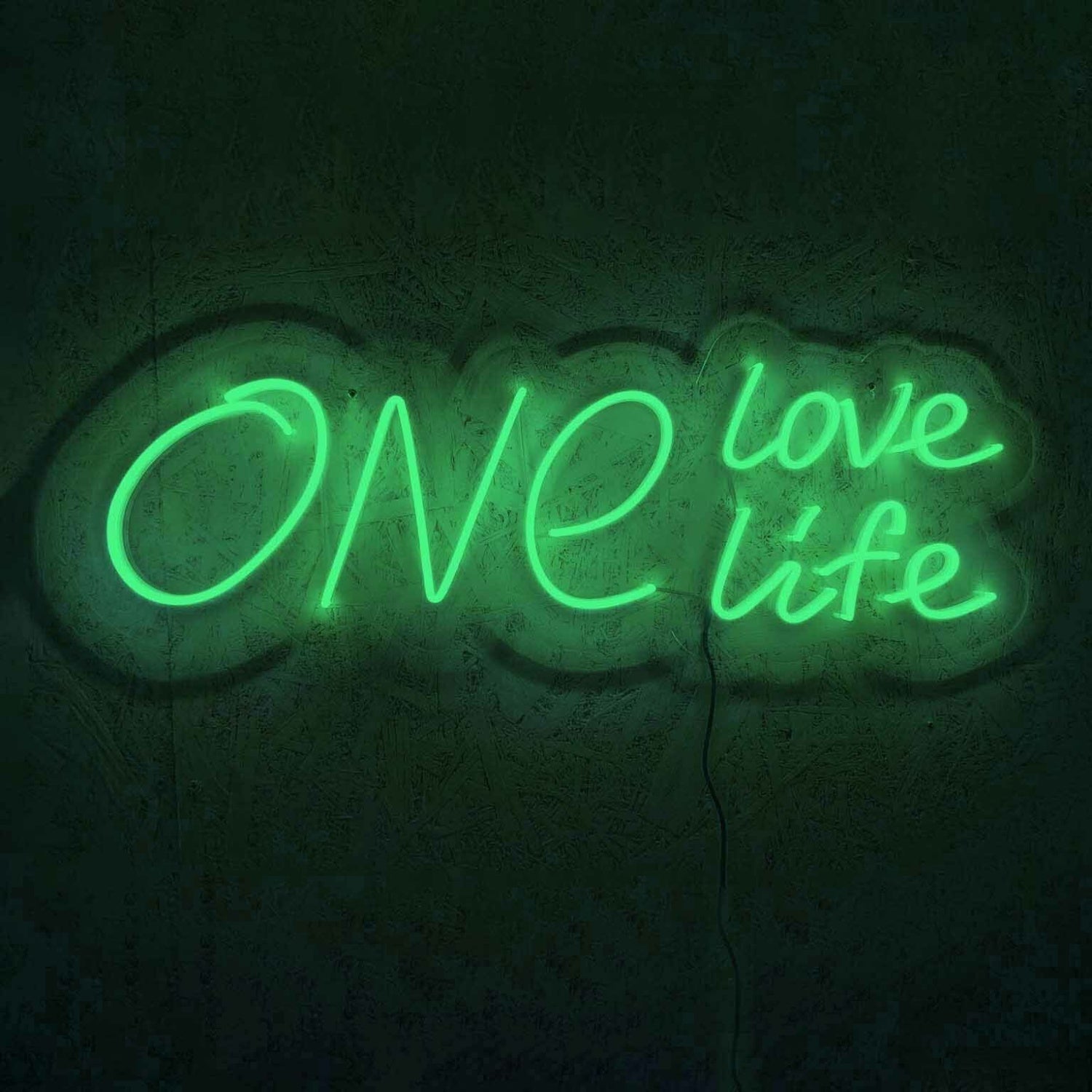One Love One Life Wedding Neon Sign | Shineneon