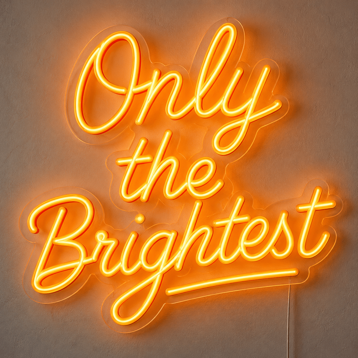 Only The Brightest LED Neon Sign - Shineneon
