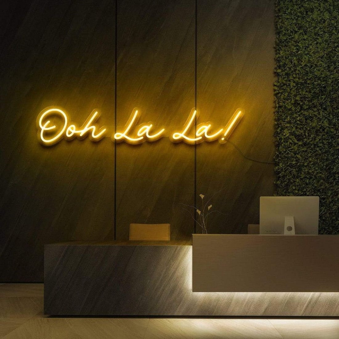 Ooh La La Led Sign Business Neon Signs Wall Art - Shineneon