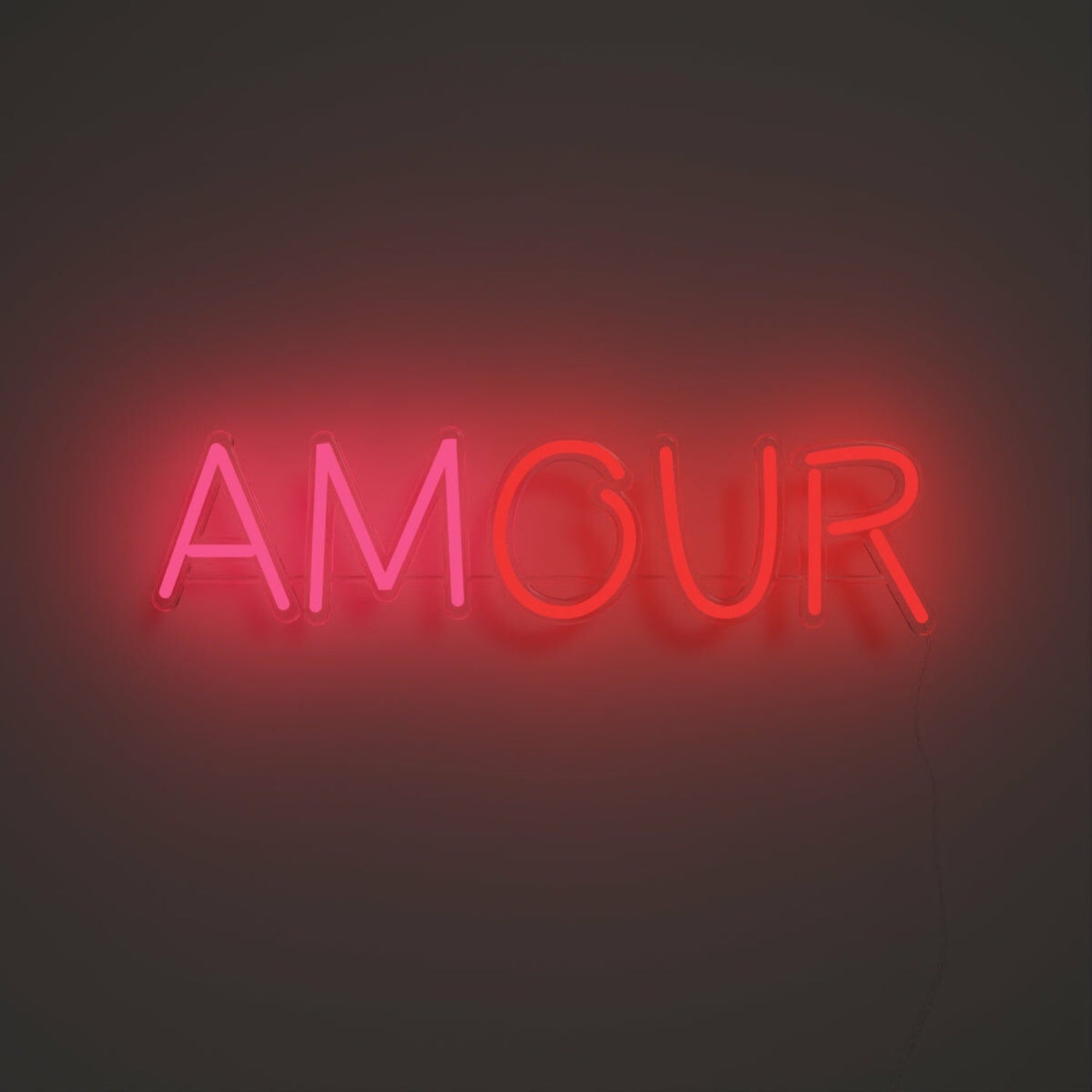Our Amour Led Neon Sign | Shineneon