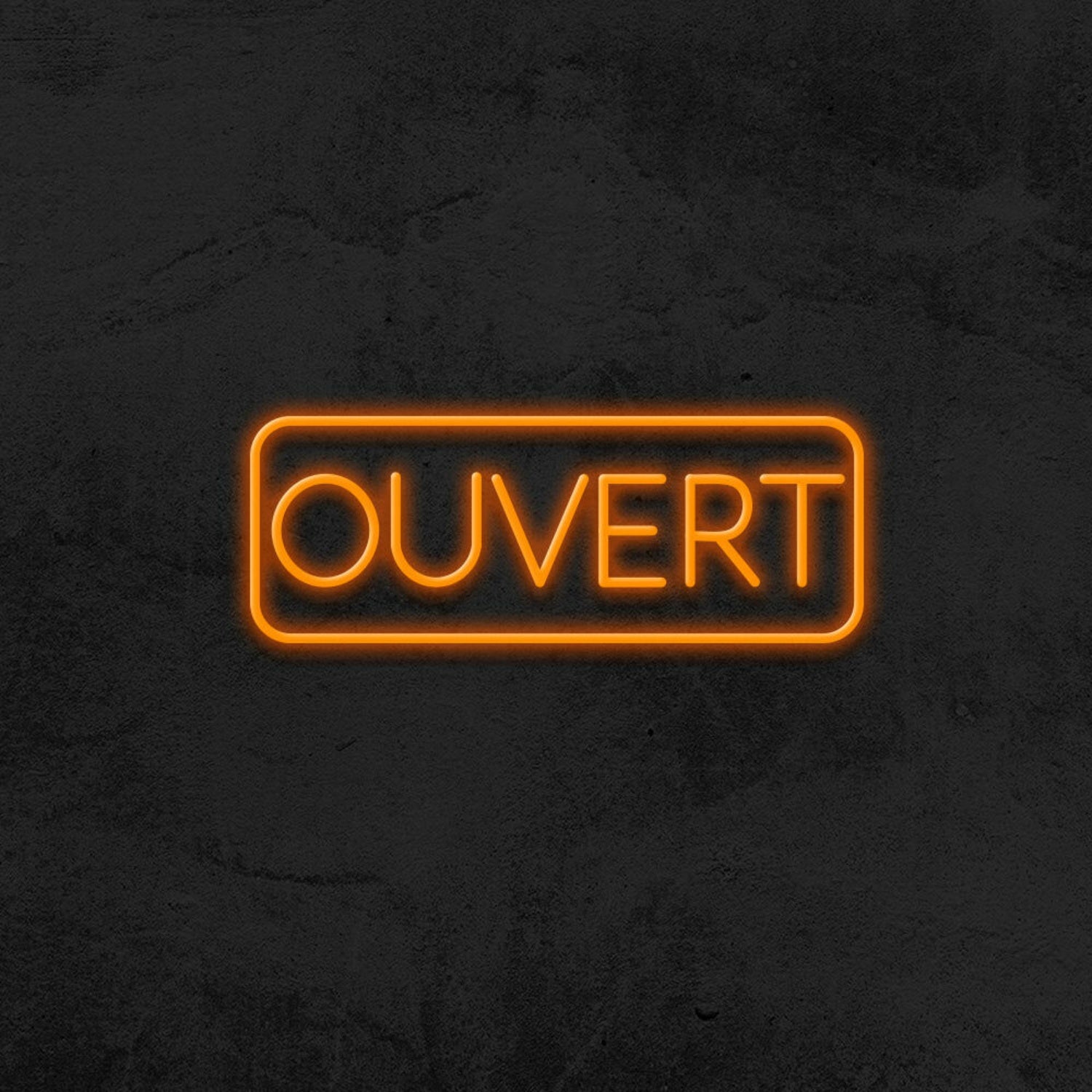 Ouvert Led Neon Sign For French-Speaking Businesses | Shineneon