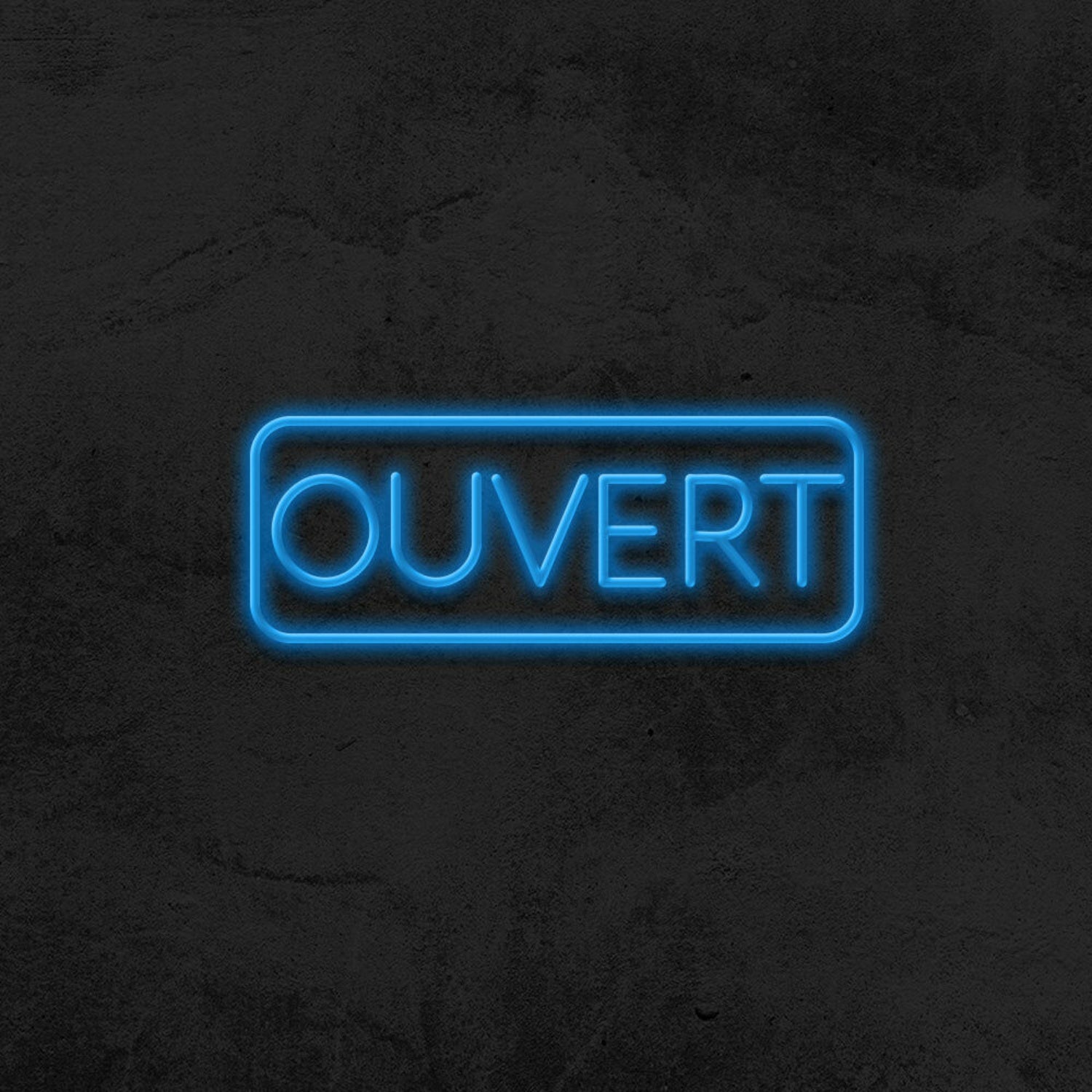 Ouvert Led Neon Sign For French-Speaking Businesses | Shineneon