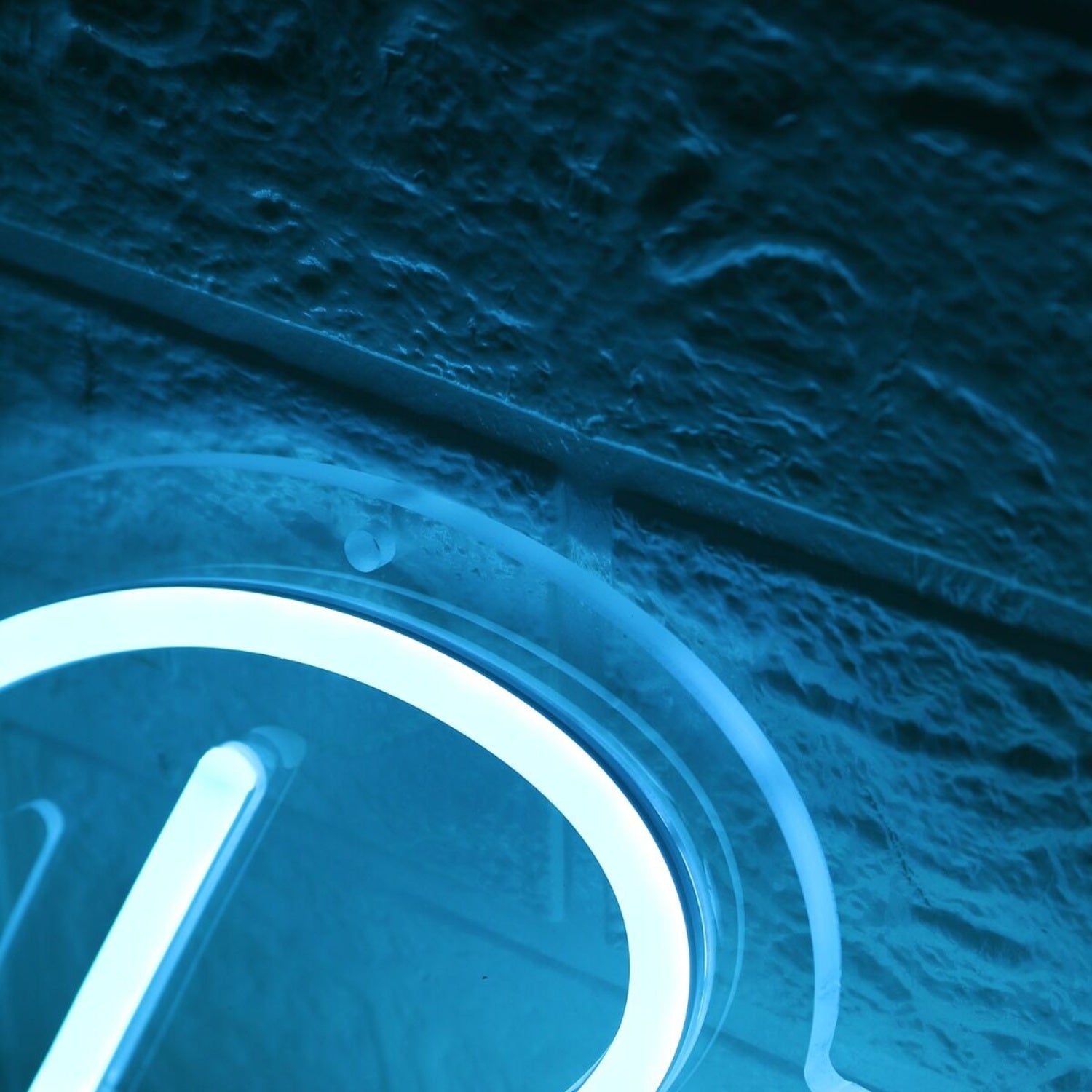 Panda Queen Blue Led Neon Sign - Shineneon