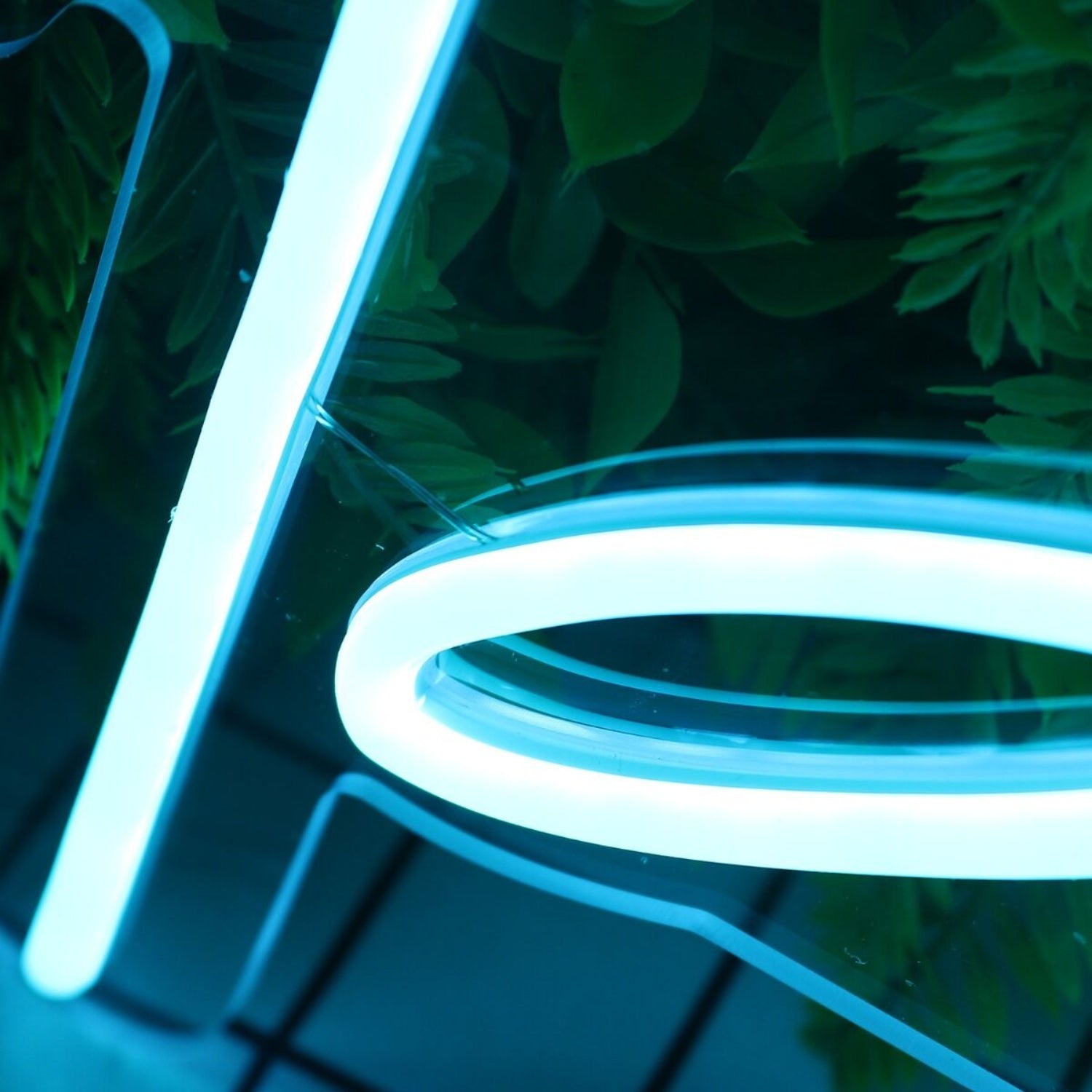 Paola Blue Blue Led Neon Sign - Shineneon