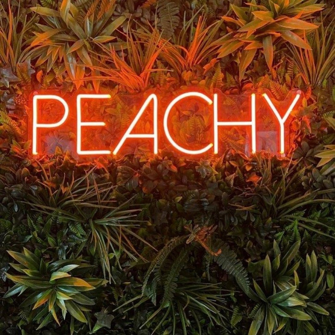 Peachy Neon Signs Neon Lights Led Neon Signs - Shineneon