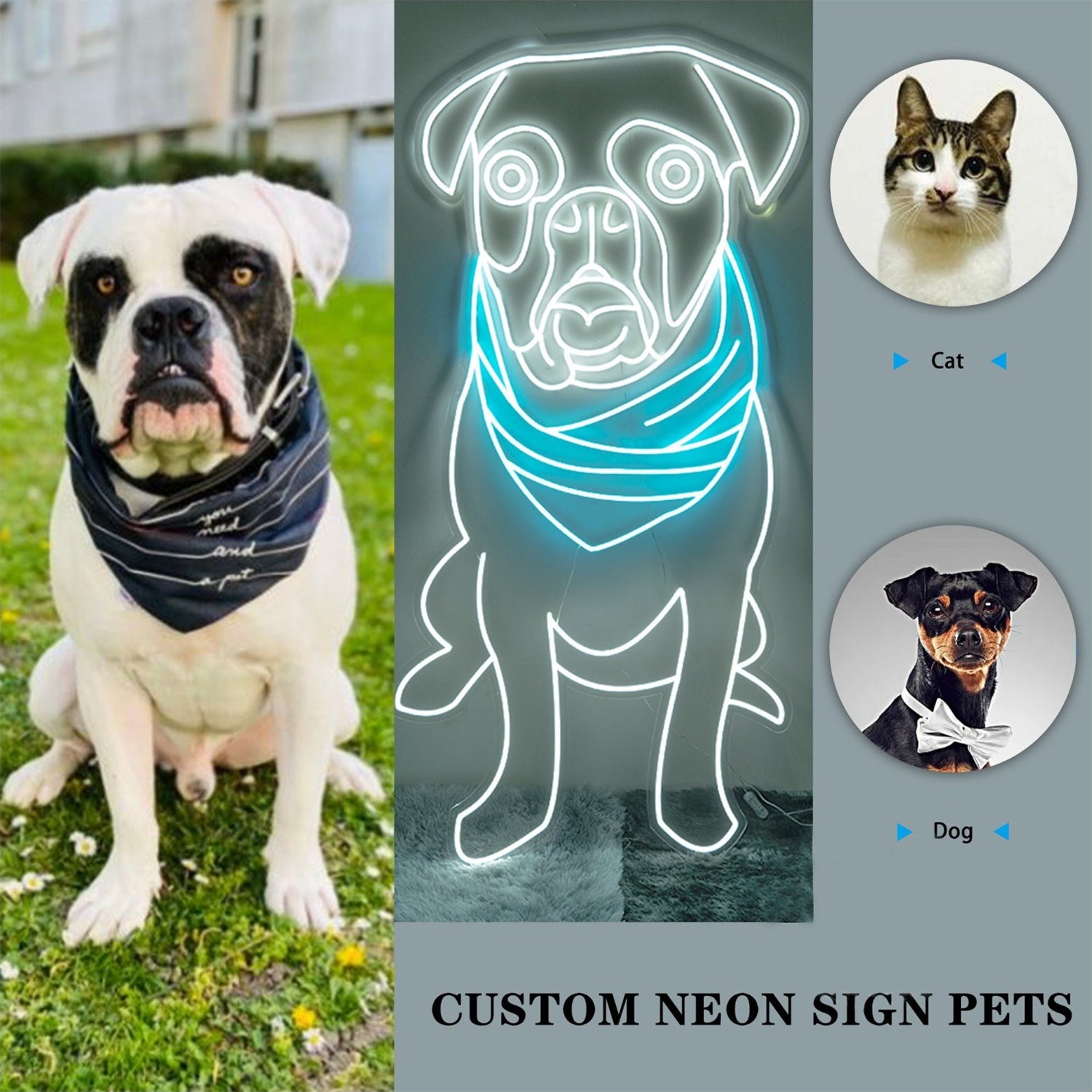 Pet Led Neon Sign With Your Pets Photo For Pets House | Shineneon