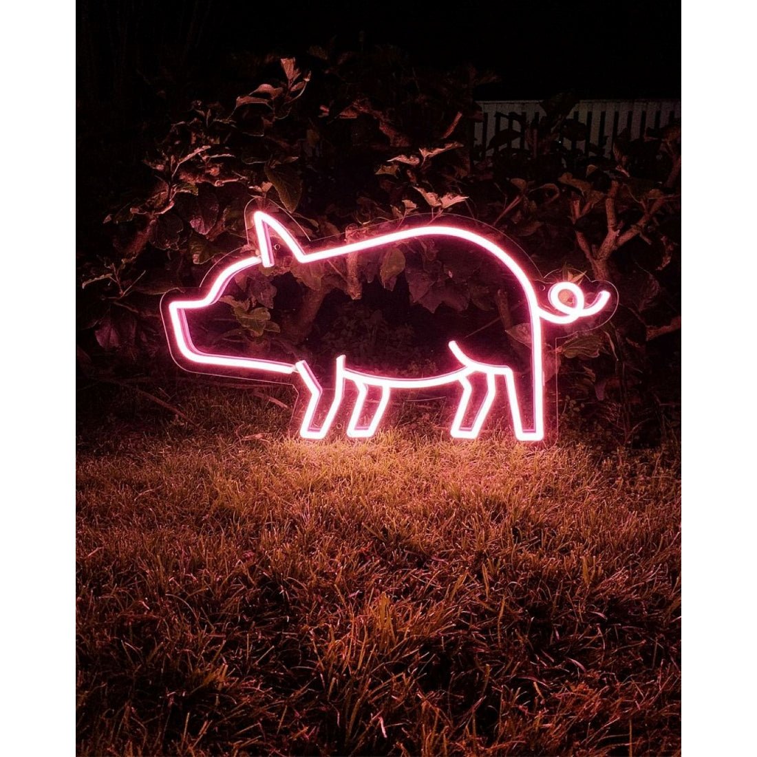 Pig Led Sign Business Neon Sign - Shineneon