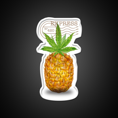 Pineapple Express Og Strain Art Hemp Inspired Green Leaf Led Neon Sign Rgb Color - LED neon sign view 11