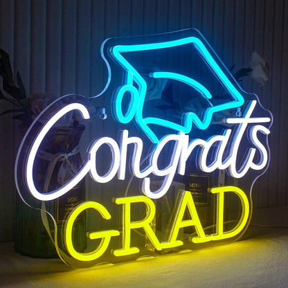 Pink Blue Sculpture-Wrapped Led Neon Sign For Modern Living Room Wall Art | Shineneon