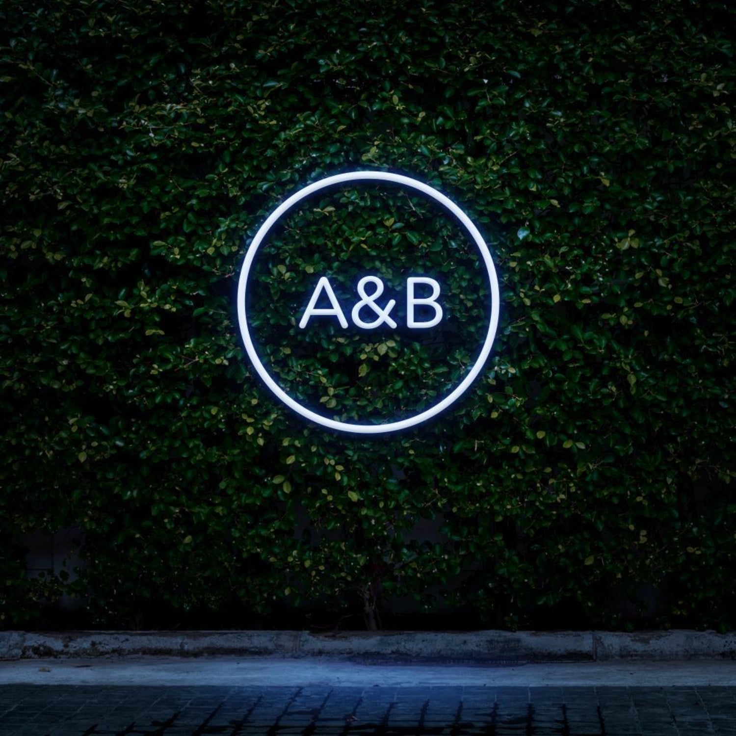 Pink Circle A&b Led Neon Sign For Cafe Decor | Shineneon