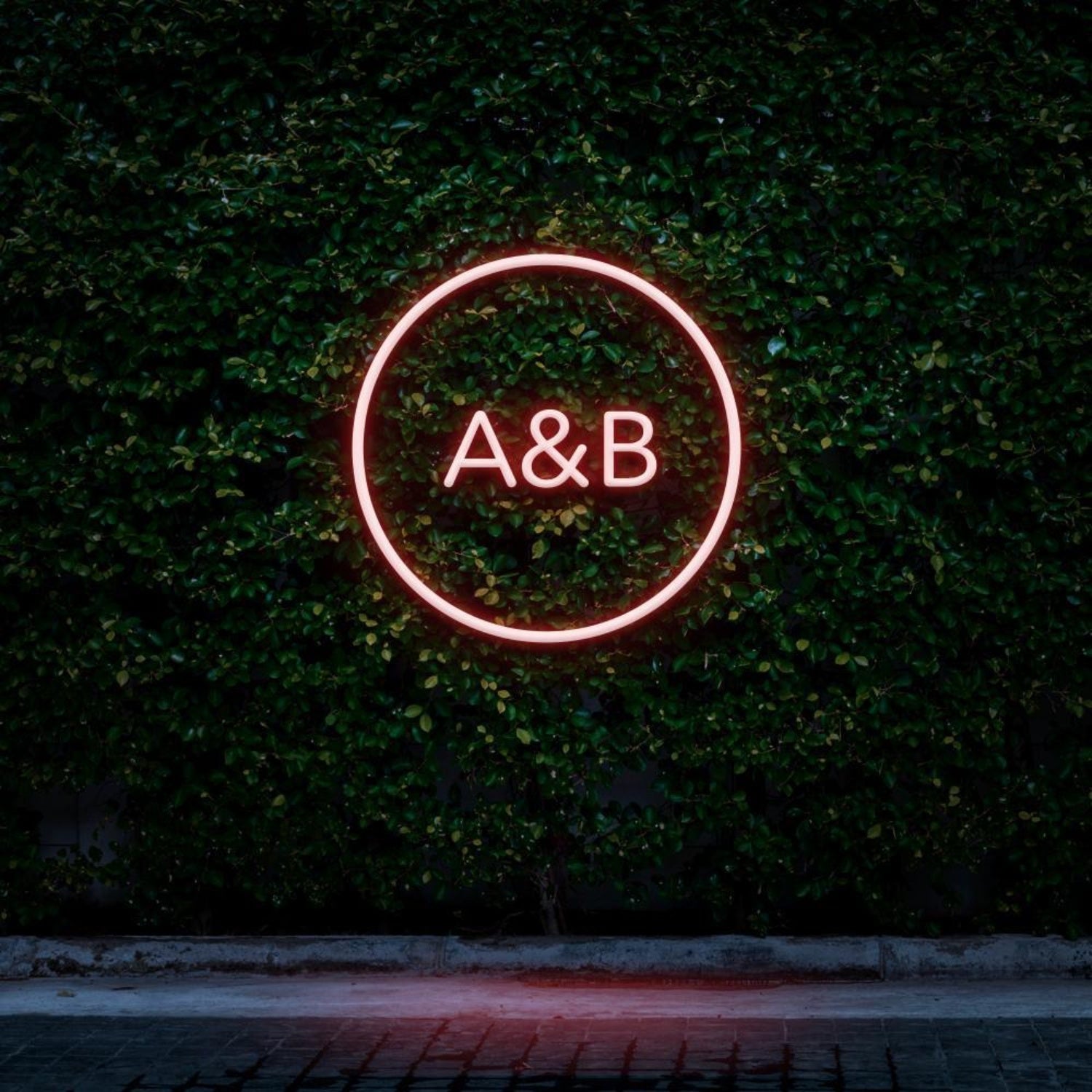 Pink Circle A&b Led Neon Sign For Cafe Decor | Shineneon
