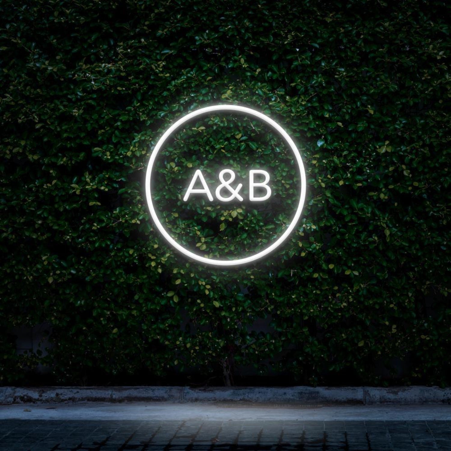 Pink Circle A&b Led Neon Sign For Cafe Decor | Shineneon