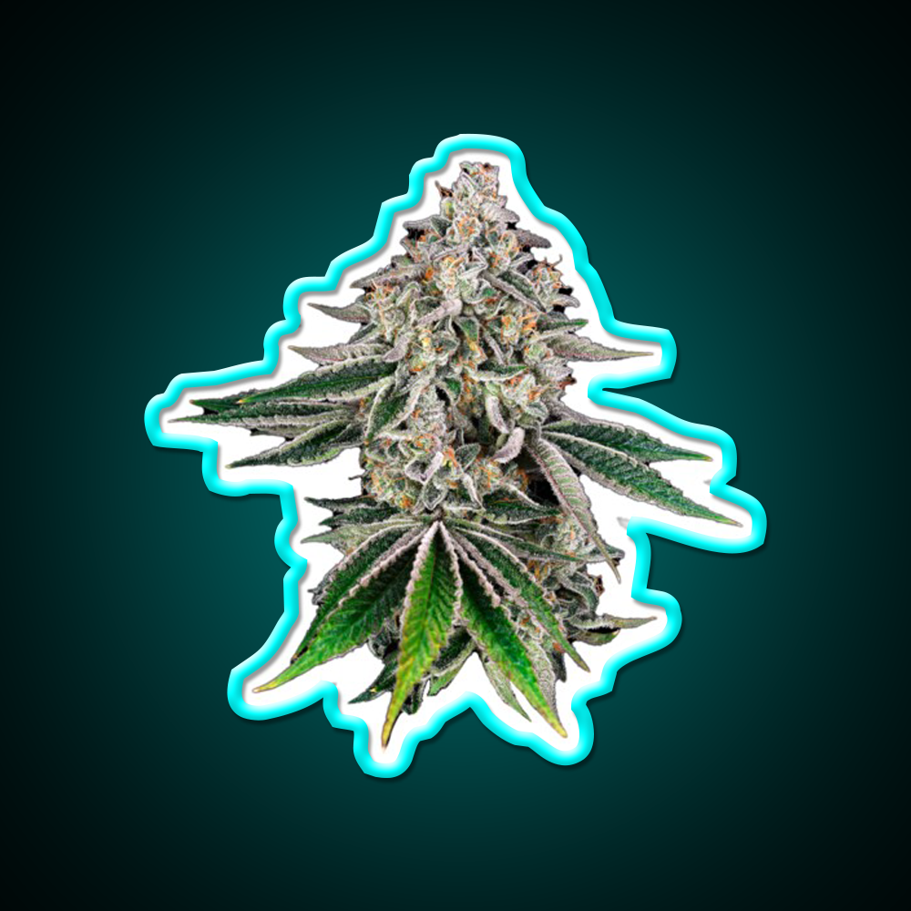 Plant Hemp Inspired Green Leaf Led Neon Sign Rgb Color - Size and dimension reference