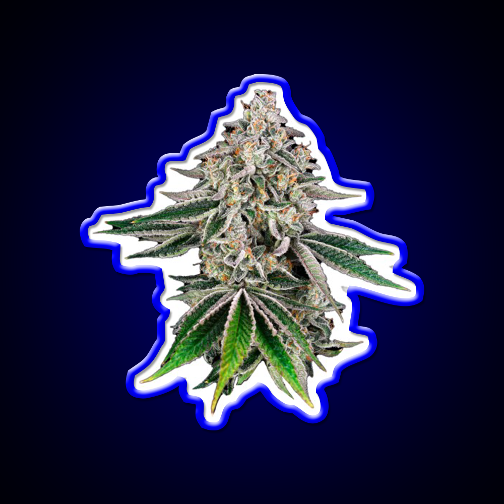 Plant Hemp Inspired Green Leaf Led Neon Sign Rgb Color - LED neon sign view 5