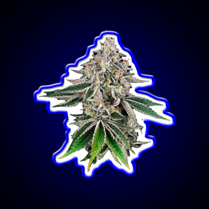 Plant Hemp Inspired Green Leaf Led Neon Sign Rgb Color - LED neon sign view 5