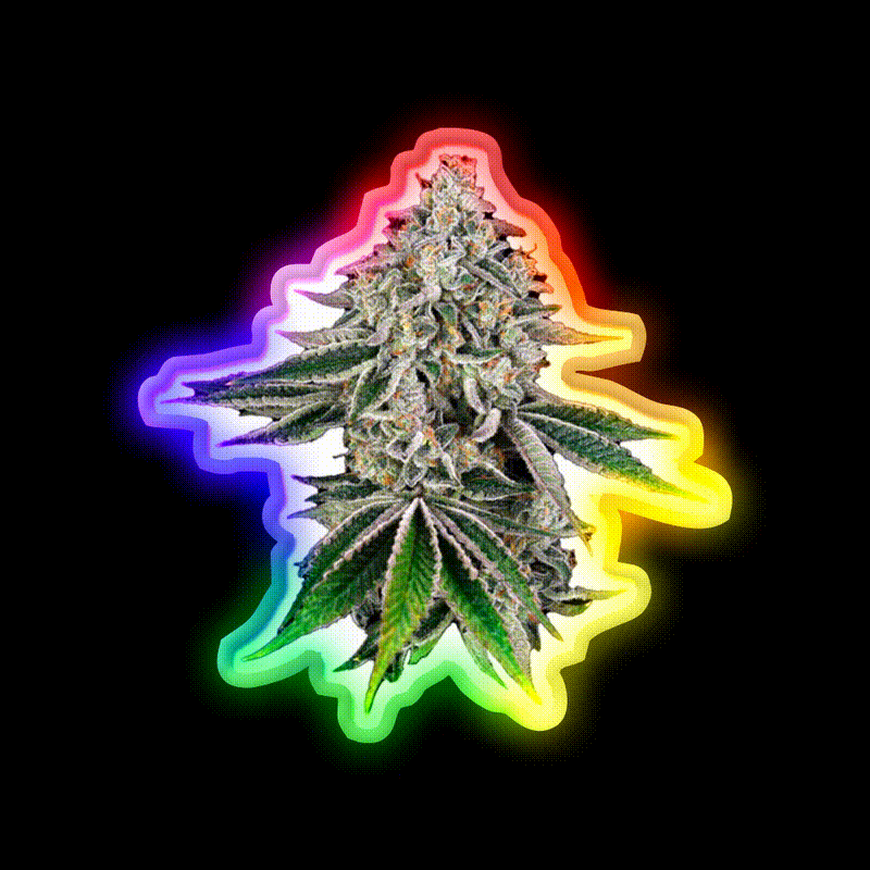Plant Hemp Inspired Green Leaf Led Neon Sign Rgb Color - LED neon sign close-up detail