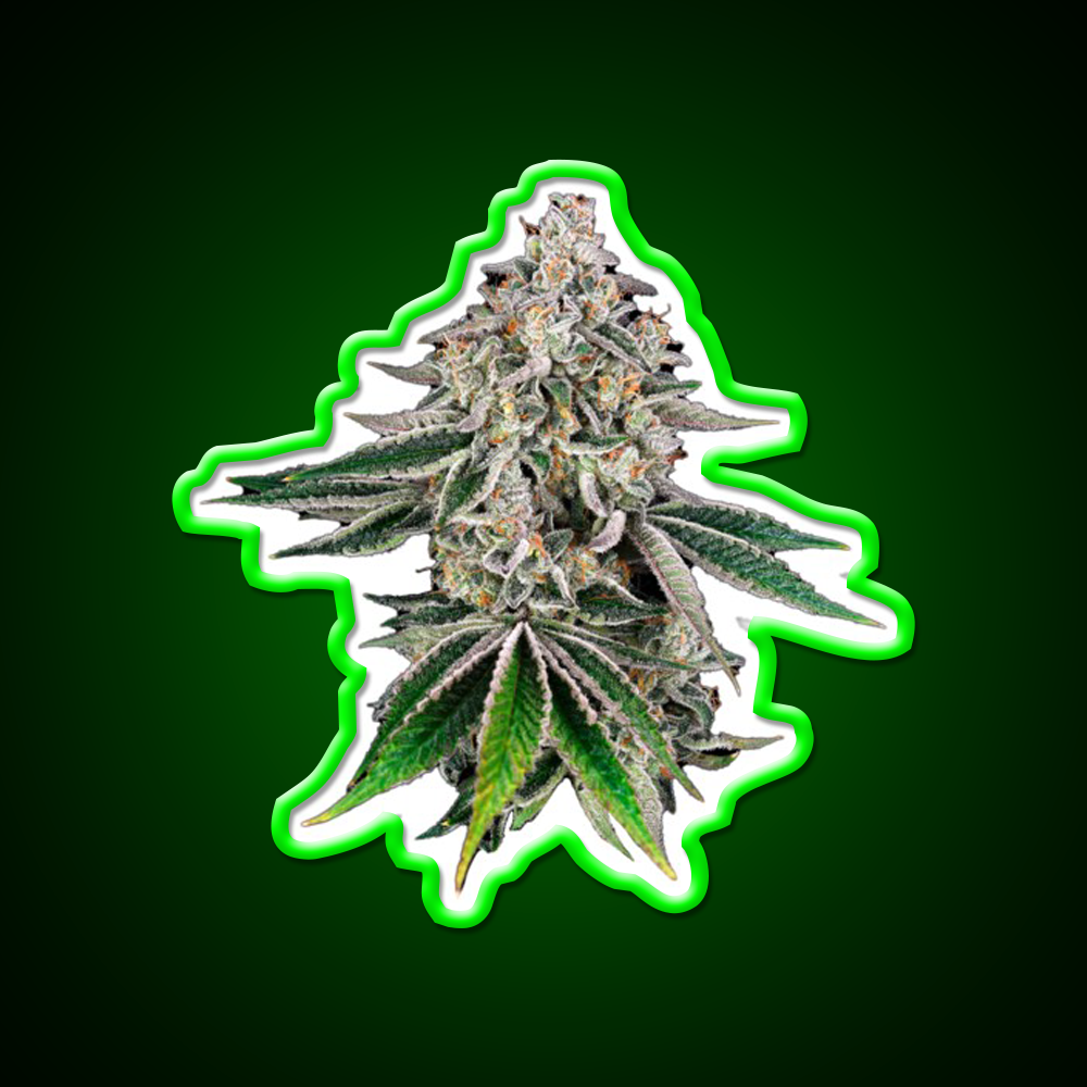 Plant Hemp Inspired Green Leaf Led Neon Sign Rgb Color - LED neon sign view 8