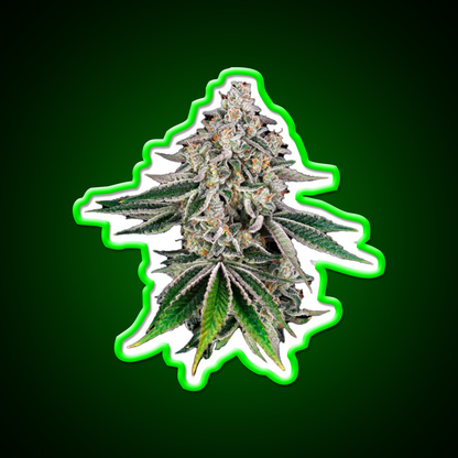 Plant Hemp Inspired Green Leaf Led Neon Sign Rgb Color - LED neon sign view 8