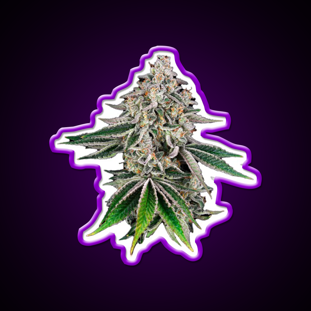 Plant Hemp Inspired Green Leaf Led Neon Sign Rgb Color - LED neon sign view 9