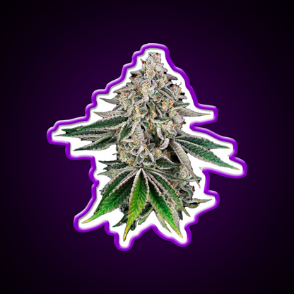 Plant Hemp Inspired Green Leaf Led Neon Sign Rgb Color - LED neon sign view 9