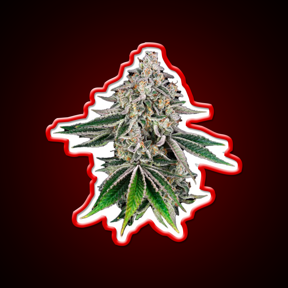 Plant Hemp Inspired Green Leaf Led Neon Sign Rgb Color - LED neon sign view 10